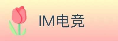 IM电竞 logo